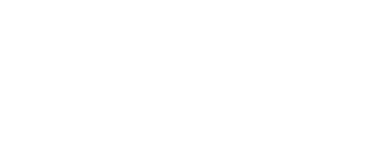 Party